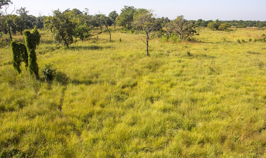 Bardia National Park: Nepal’s Wild Tiger Frontier