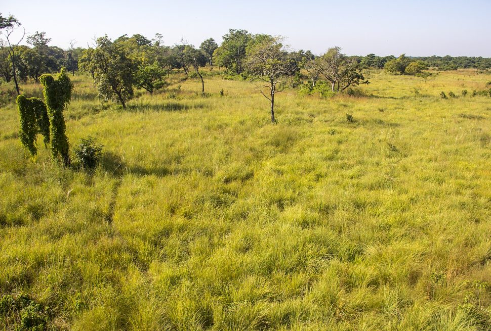 Bardia National Park: Nepal's Wild Tiger Frontier