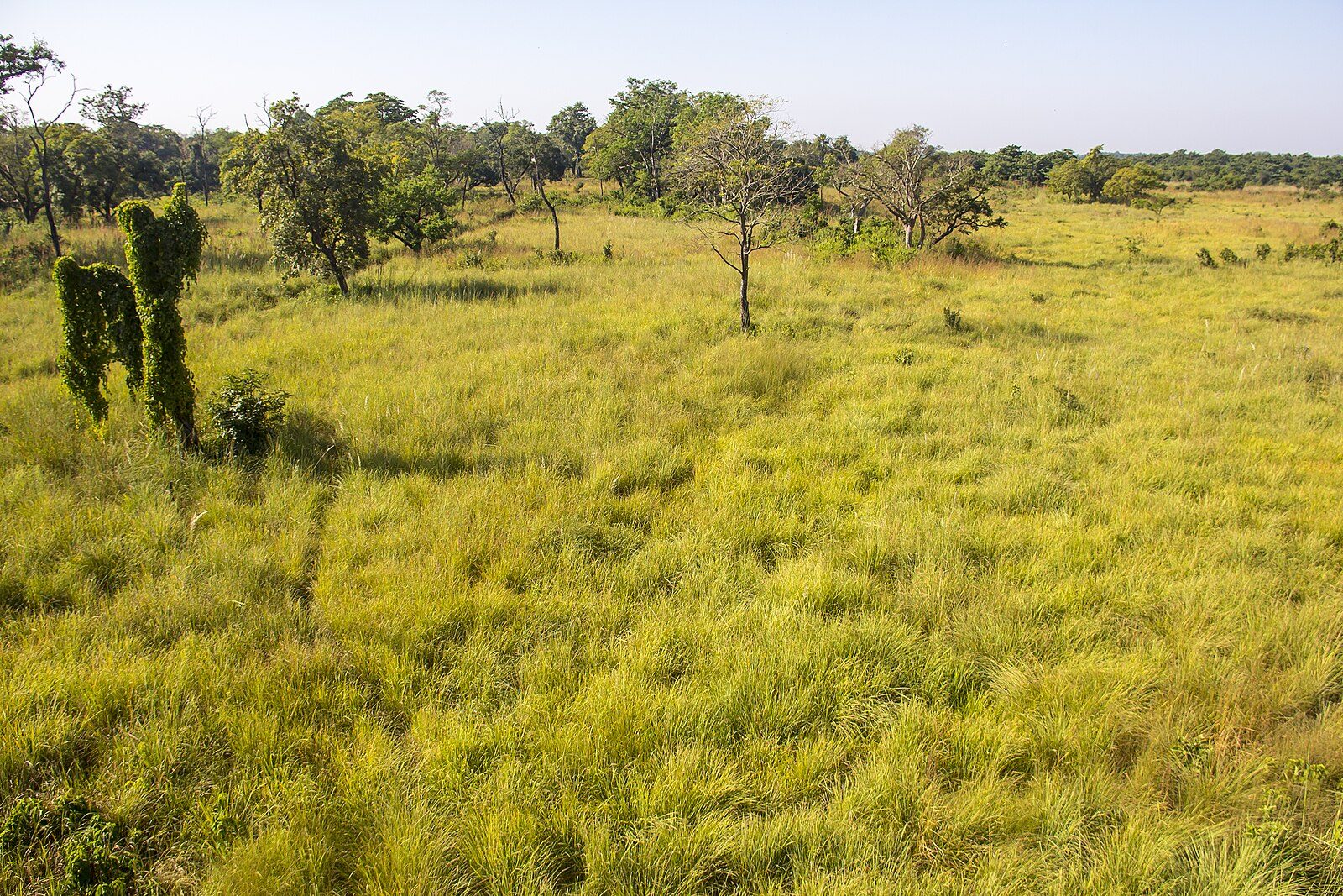 Bardia National Park: Nepal's Wild Tiger Frontier