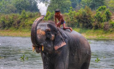 Chitwan Jungle Safari – 3 Days