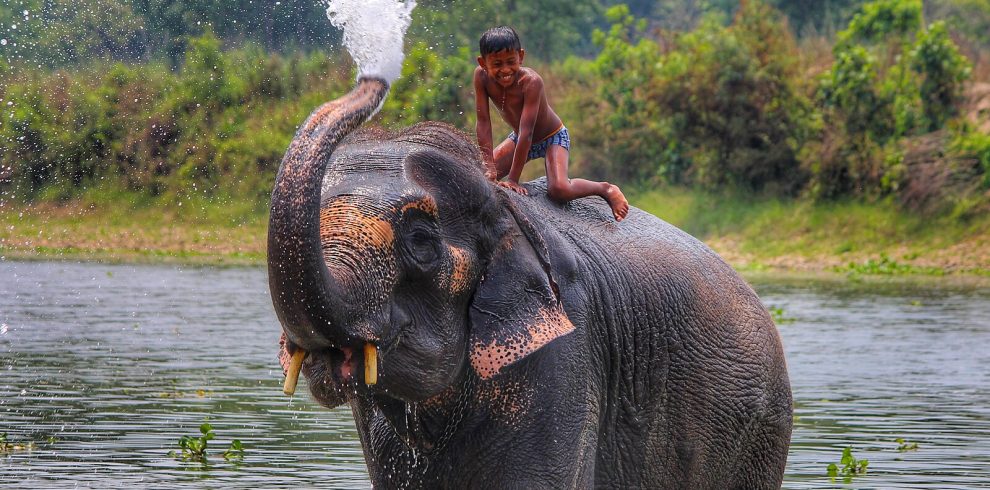 Chitwan Jungle Safari – 3 Days