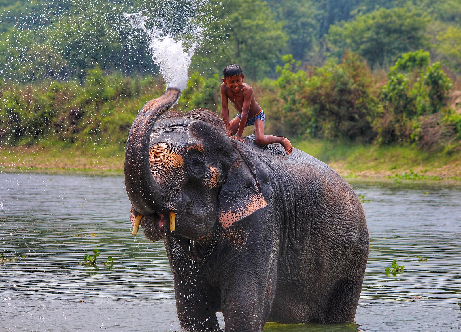 Chitwan Jungle Safari – 3 Days