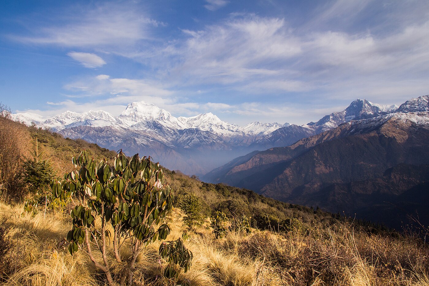 Ghorepani Poon Hill Trek – 5 Days