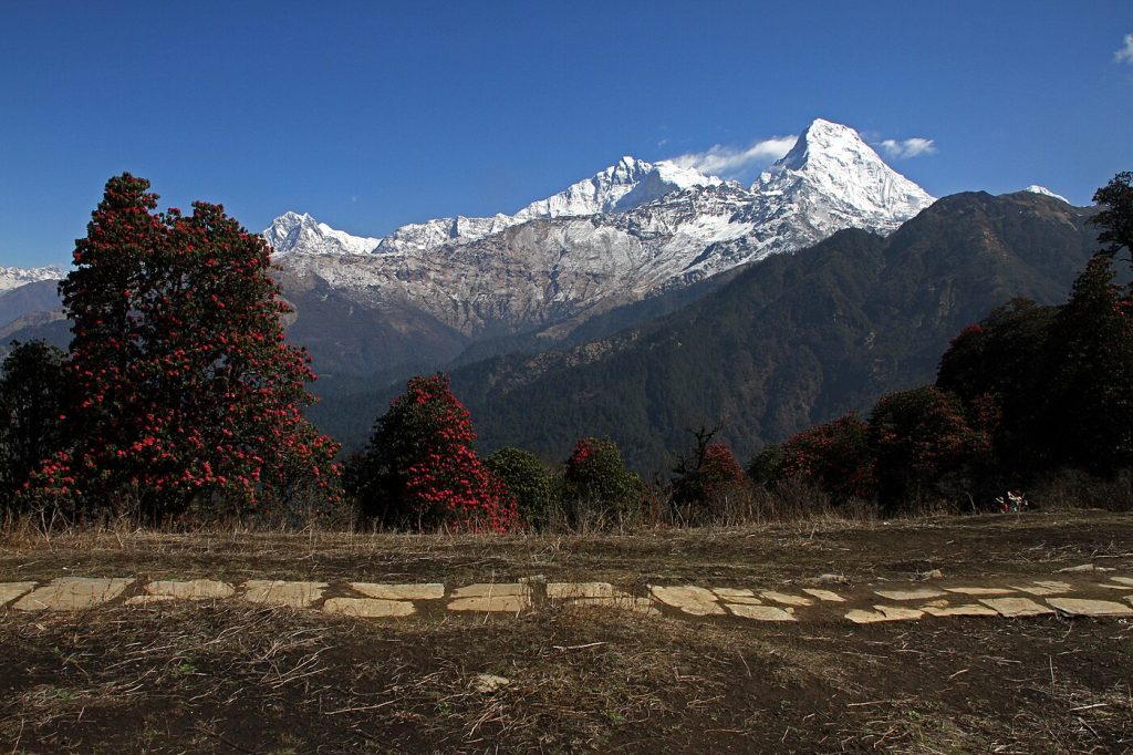 Ghorepani Poon Hill Trek – 5 Days