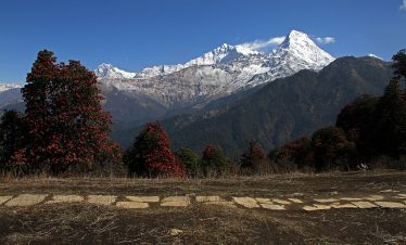 Ghorepani Poon Hill Trek – 5 Days