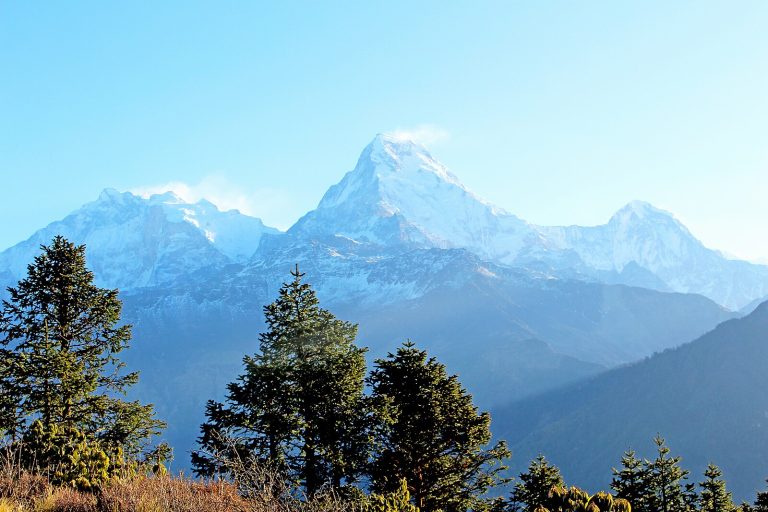 Ghorepani Poon Hill Trek: Nepal's Best Short Trek