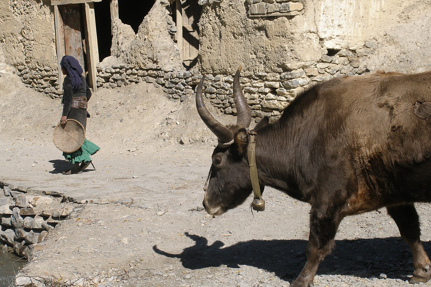 Jomsom Muktinath Trek – 7 Days