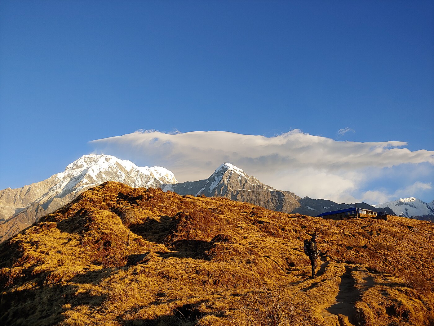 Mardi Himal Trek – 5 Days