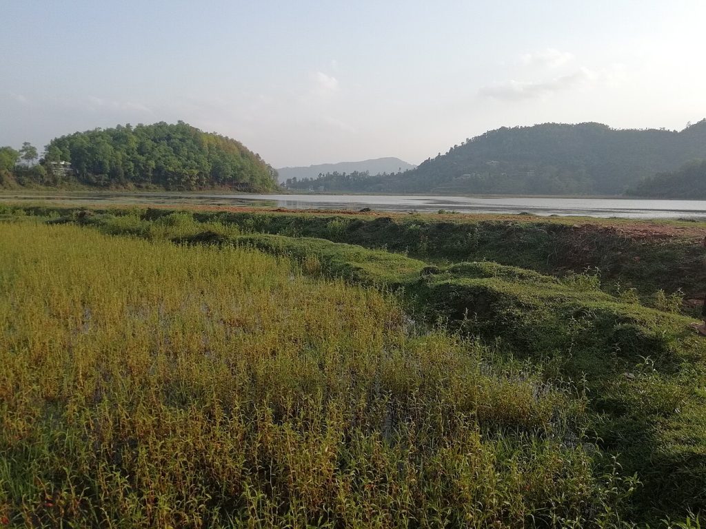 Mohare Danda Community Trek – 7 Days