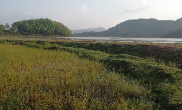 Mohare Danda Community Trek – 7 Days