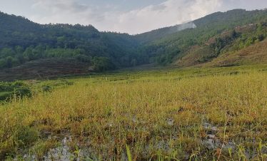 Mohare Danda Community Trek – 7 Days