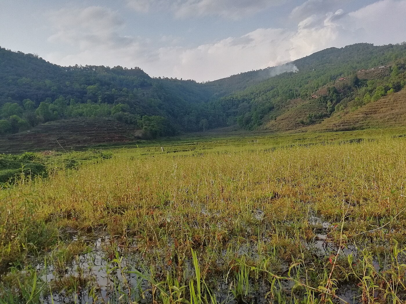 Mohare Danda Community Trek – 7 Days