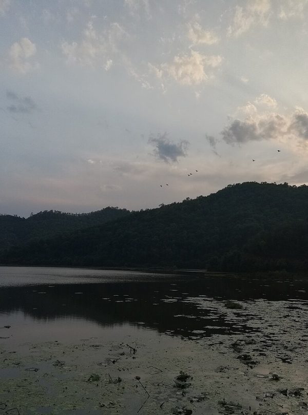 Mohare Danda Community Trek – 7 Days