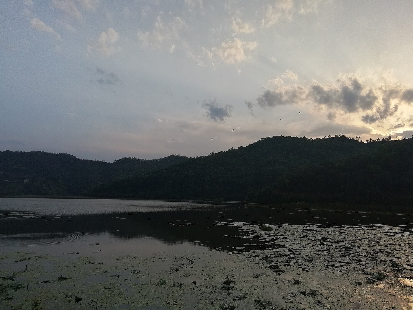 Mohare Danda Community Trek – 7 Days
