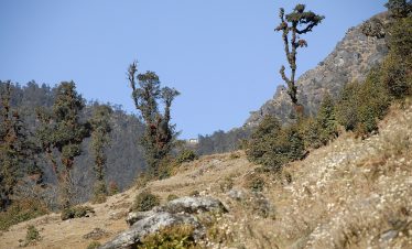 Pikey Peak Trek – 7 Days