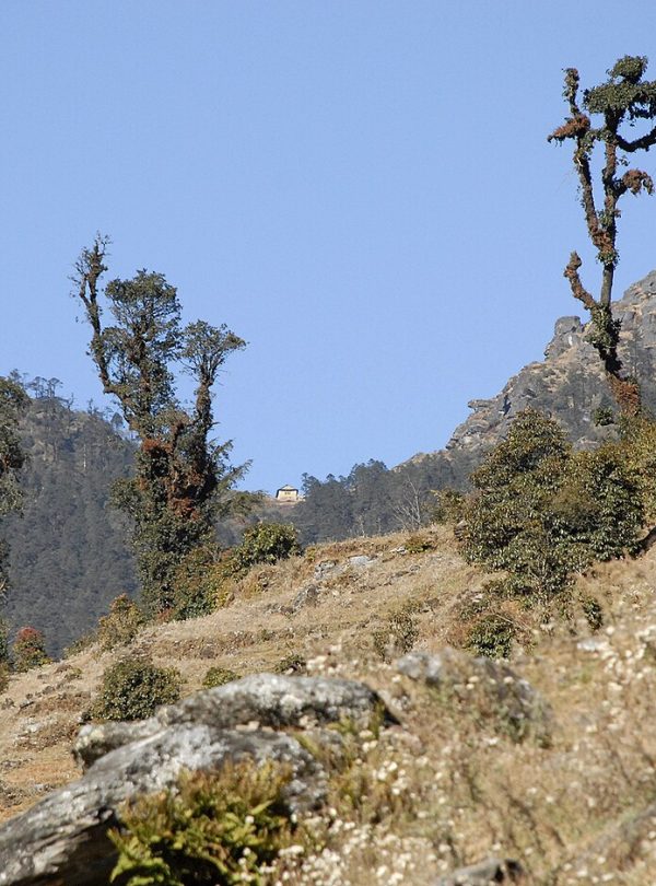 Pikey Peak Trek – 7 Days