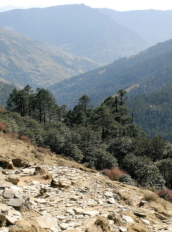 Pikey Peak Trek – 7 Days