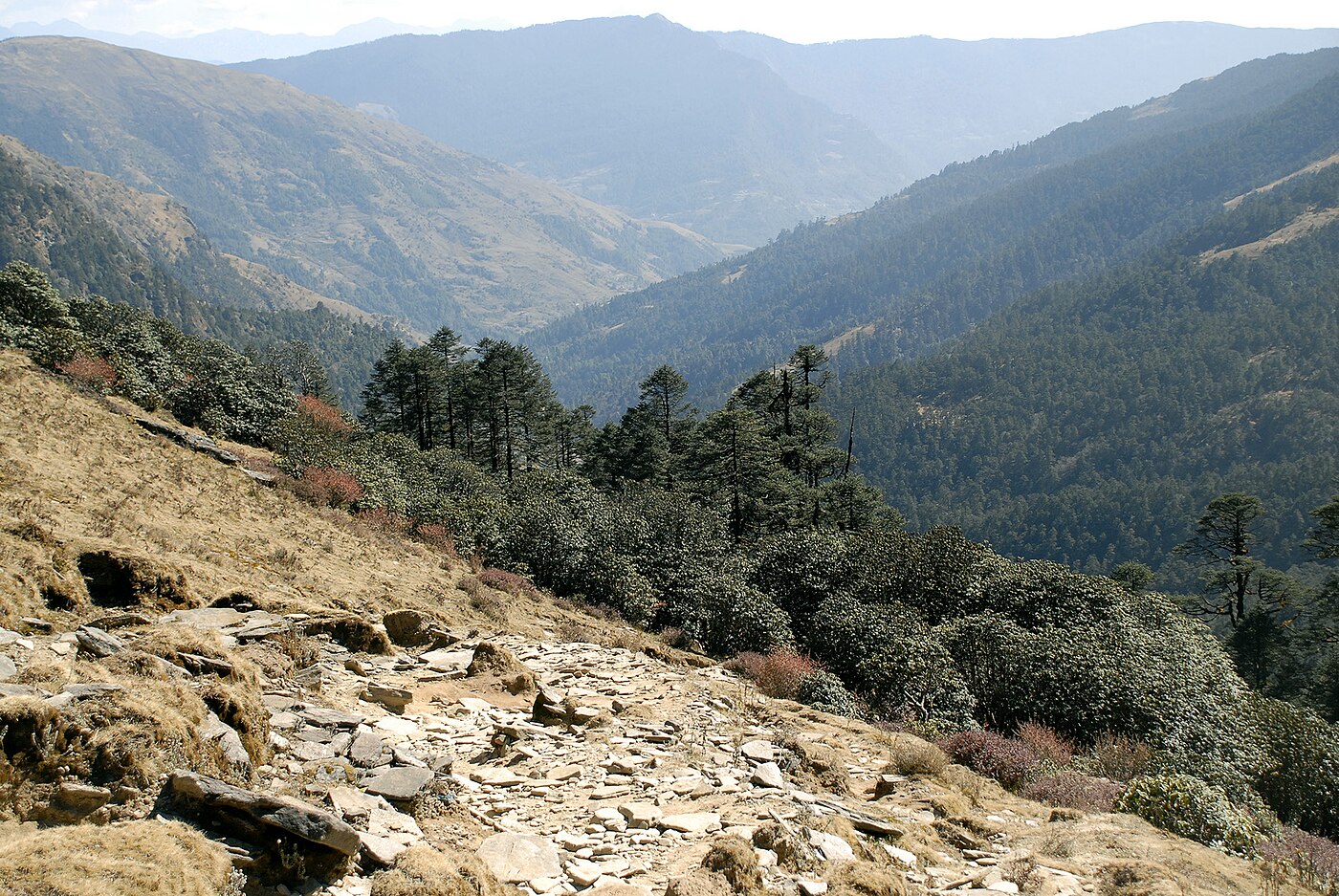 Pikey Peak Trek – 7 Days
