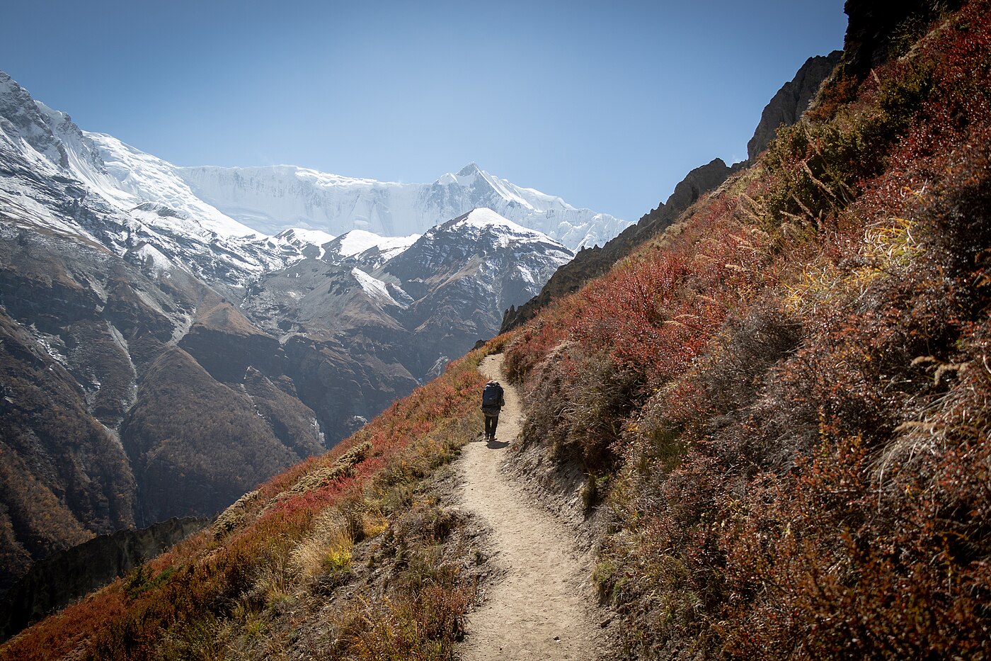 Tilicho Lake Trek – 8 Days