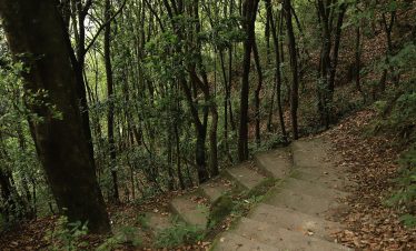 Chisapani Hiking day hike near Kathmandu, Nepal