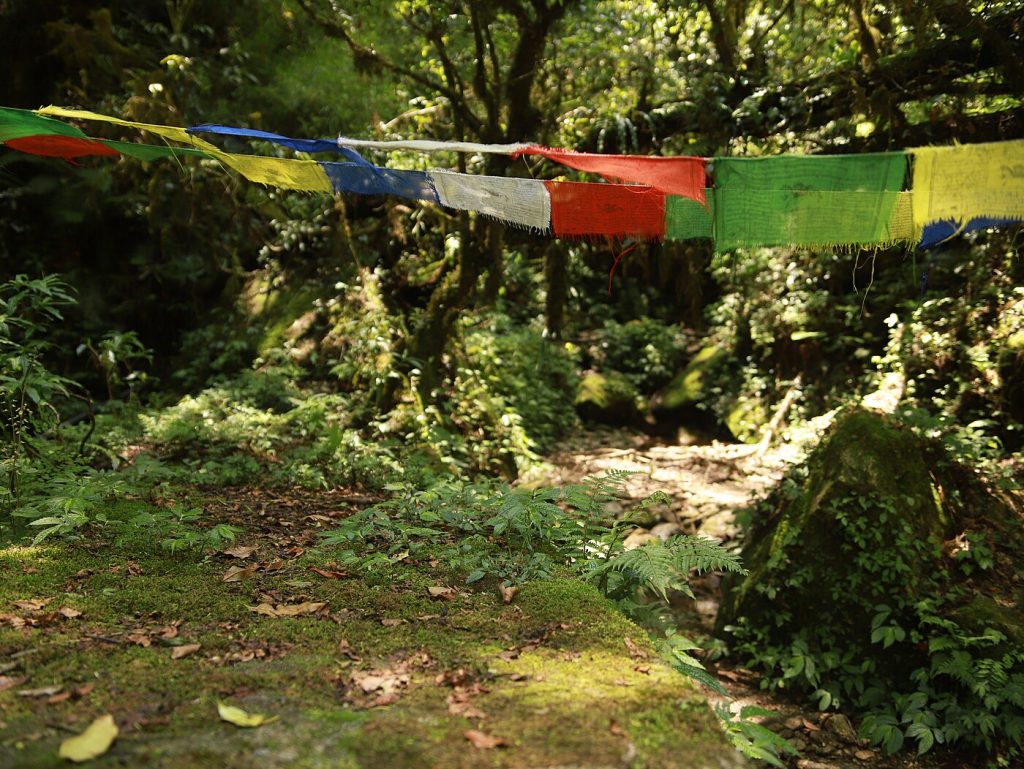 Chisapani Hiking - Kathmandu Valley day hike, Nepal