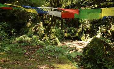 Chisapani Hiking - Kathmandu Valley day hike, Nepal