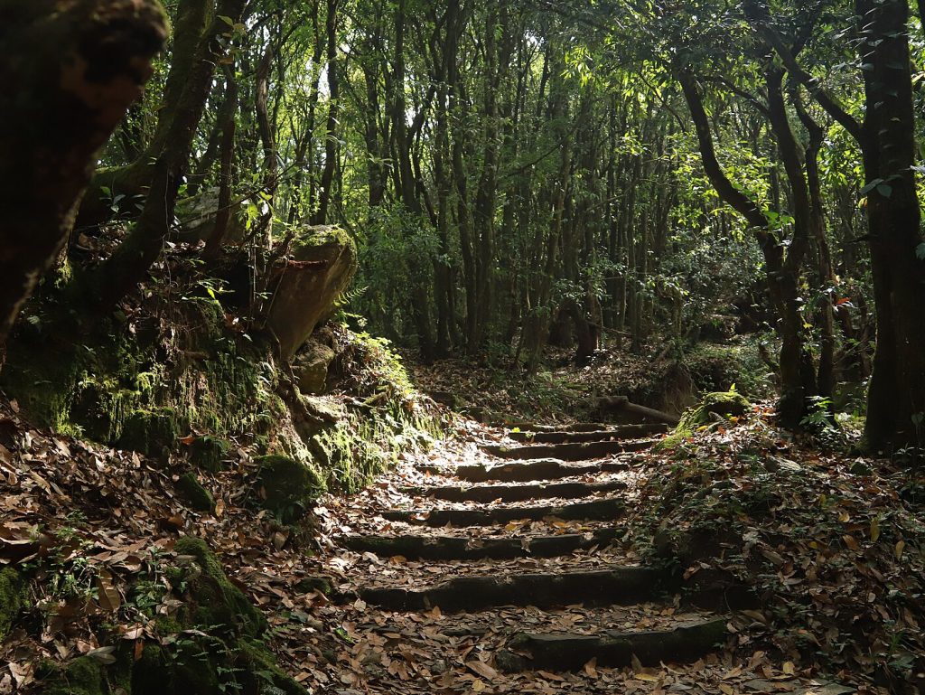 Chisapani Hiking - Kathmandu Valley day hike, Nepal