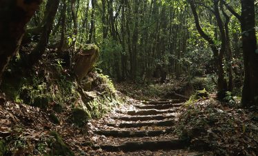 Chisapani Hiking - Kathmandu Valley day hike, Nepal