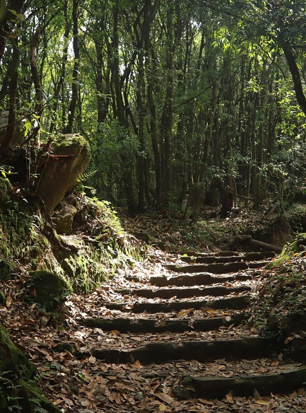 Chisapani Hiking - Kathmandu Valley day hike, Nepal