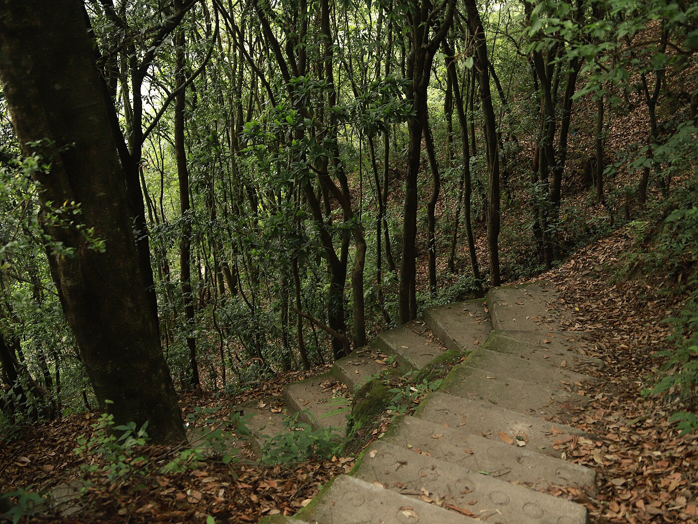 Chisapani Hiking day hike near Kathmandu, Nepal