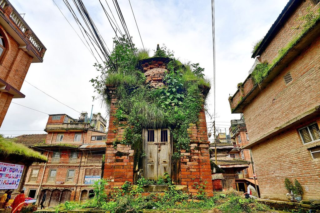 Phulchoki Hiking - Kathmandu Valley day hike, Nepal