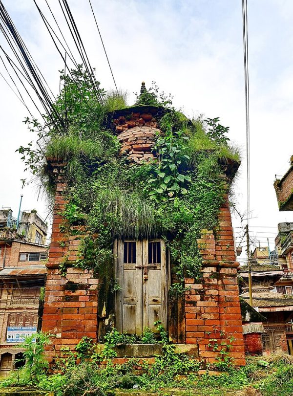Phulchoki Hiking - Kathmandu Valley day hike, Nepal