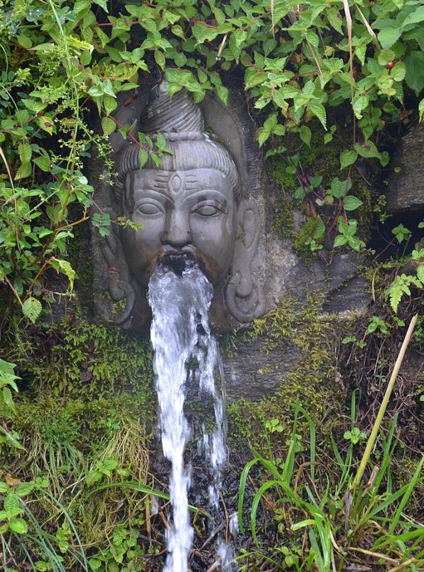 Shivapuri Hiking - Kathmandu Valley day hike, Nepal