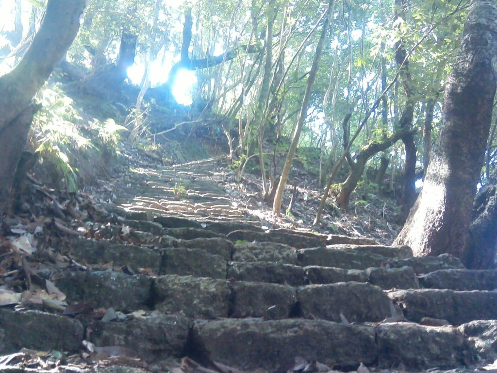 Shivapuri Hiking - Kathmandu Valley day hike, Nepal