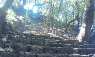 Shivapuri Hiking - Kathmandu Valley day hike, Nepal