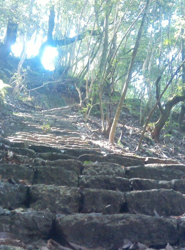 Shivapuri Hiking - Kathmandu Valley day hike, Nepal